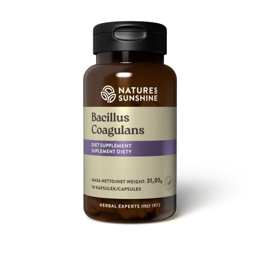 Bacillus Coagulans (90 kaps.)
