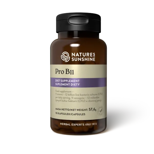 Pro B11 (90 kaps.)